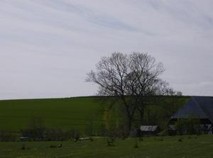 FriApr2020071023PM_3.jpg