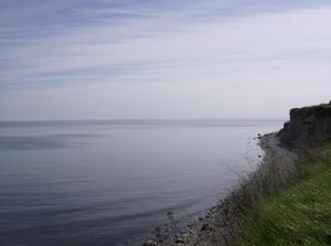 FriApr2020071047PM_3.jpg