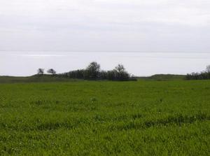 FriApr2020071125PM.jpg