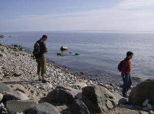 FriApr2020071144PM_2.jpg