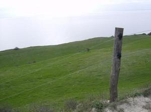 SatApr2120071239AM_2.jpg