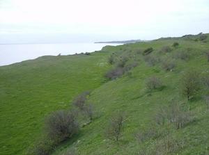 SatApr2120071241AM.jpg