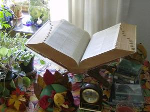 FriNov2320070101PM_3.jpg