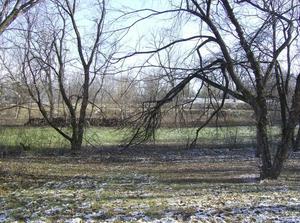 FriNov2320070114PM.jpg