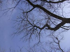 FriNov2320070118PM_2.jpg