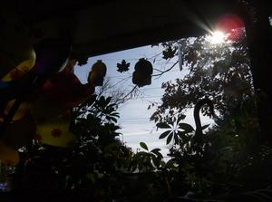 FriNov2320071253PM_2.jpg