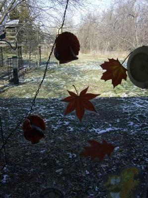 FriNov2320071254PM_2.jpg