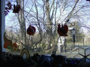 FriNov2320071255PM.jpg