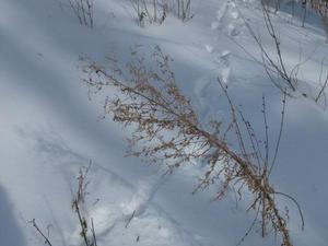 MonDec2220081118AM.jpg