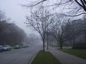 MonNov1920070953AM_2.jpg