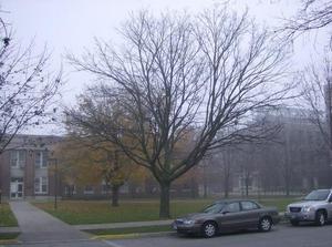 MonNov1920070953AM_3.jpg