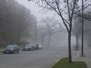MonNov1920070954AM.jpg