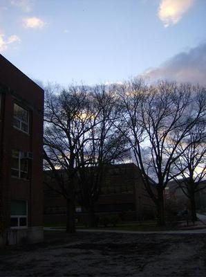 MonNov520070553PM_3.jpg