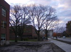 MonNov520070554PM.jpg
