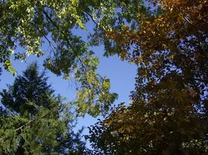 SatNov320070920AM.jpg