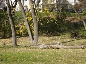SatNov320071145AM_2.jpg