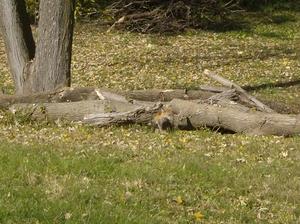 SatNov320071145AM_3.jpg