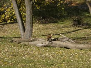 SatNov320071146AM_2.jpg