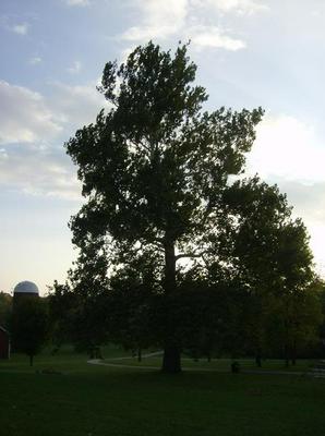 SatOct620070603PM.jpg