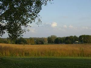 SatOct620070604PM_2.jpg