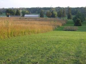 SatOct620070604PM_3.jpg