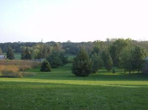 SatOct620070604PM.jpg