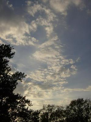 SatOct620070606PM_3.jpg