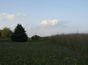 SatOct620070606PM.jpg