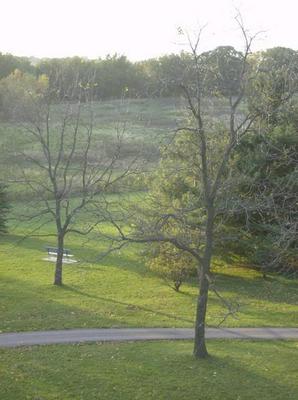 SatOct620070610PM.jpg
