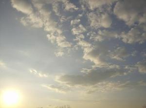 SatOct620070611PM.jpg