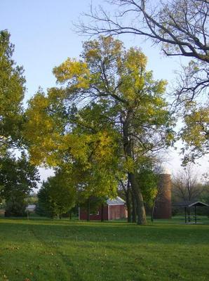 SatOct620070615PM.jpg