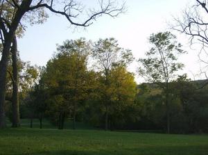 SatOct620070616PM.jpg