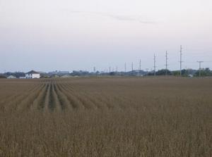 SatOct620070641PM_4.jpg