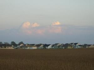 SatOct620070642PM.jpg