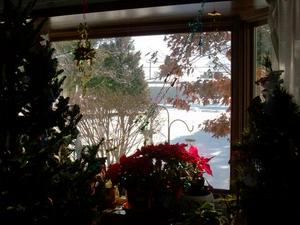 SunDec2820081152AM_2.jpg