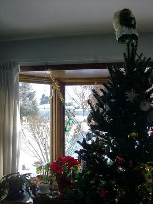 SunDec2820081152AM_3.jpg
