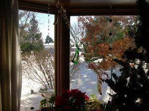 SunDec2820081152AM_4.jpg