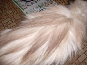 SunDec2820081154AM_2.jpg