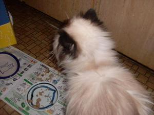 SunDec2820081154AM_3.jpg