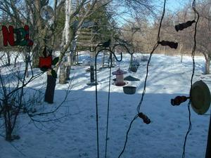 SunDec2820081156AM_2.jpg