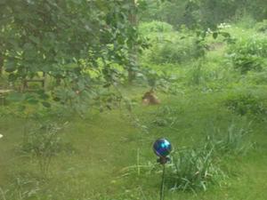 SunJun720090724AM.jpg