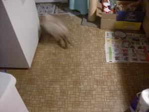 SunJun720090725AM_3.jpg