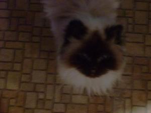 SunJun720090725AM.jpg