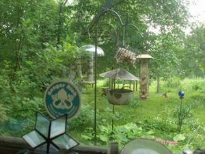 SunJun720090726AM.jpg