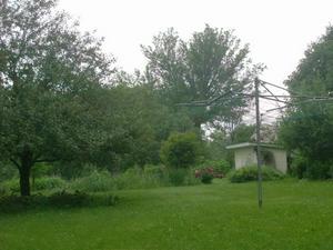 SunJun720090731AM_2.jpg