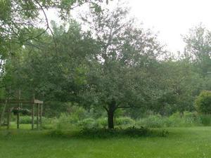 SunJun720090732AM.jpg