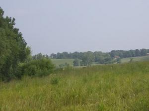 ThuAug220070517PM_2.jpg