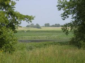 ThuAug220070518PM.jpg