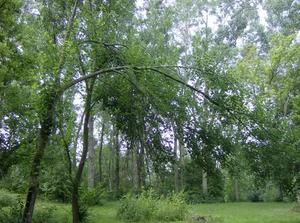 ThuAug220070706PM_2.jpg