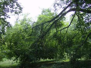 ThuAug220070706PM.jpg
